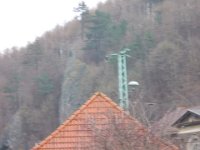DSCN1256
