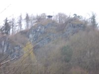 DSCN1263