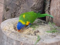 DSCN1097