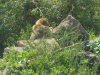 DSCN1158
