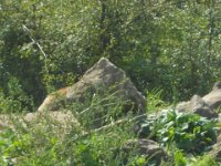 DSCN1159