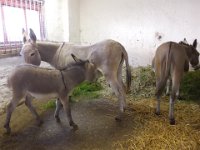 DSCN1166