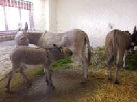 DSCN1167