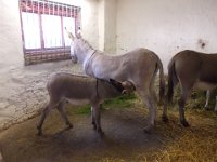DSCN1169