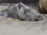 DSCN1406