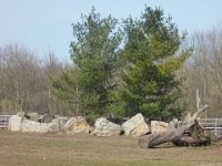 DSCN1422