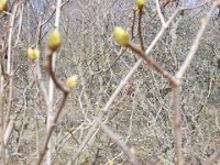 DSCN1434