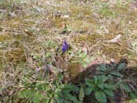 DSCN1456
