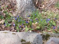 DSCN1457