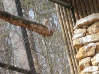 DSCN1459