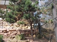 DSCN1462