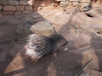 DSCN1468