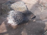 DSCN1469